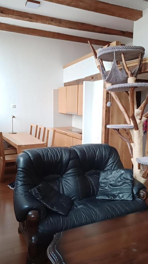 Bydleni V Centru Ov Blizko Stodolni, Bez Vytahu Appartement Ostrava Buitenkant foto
